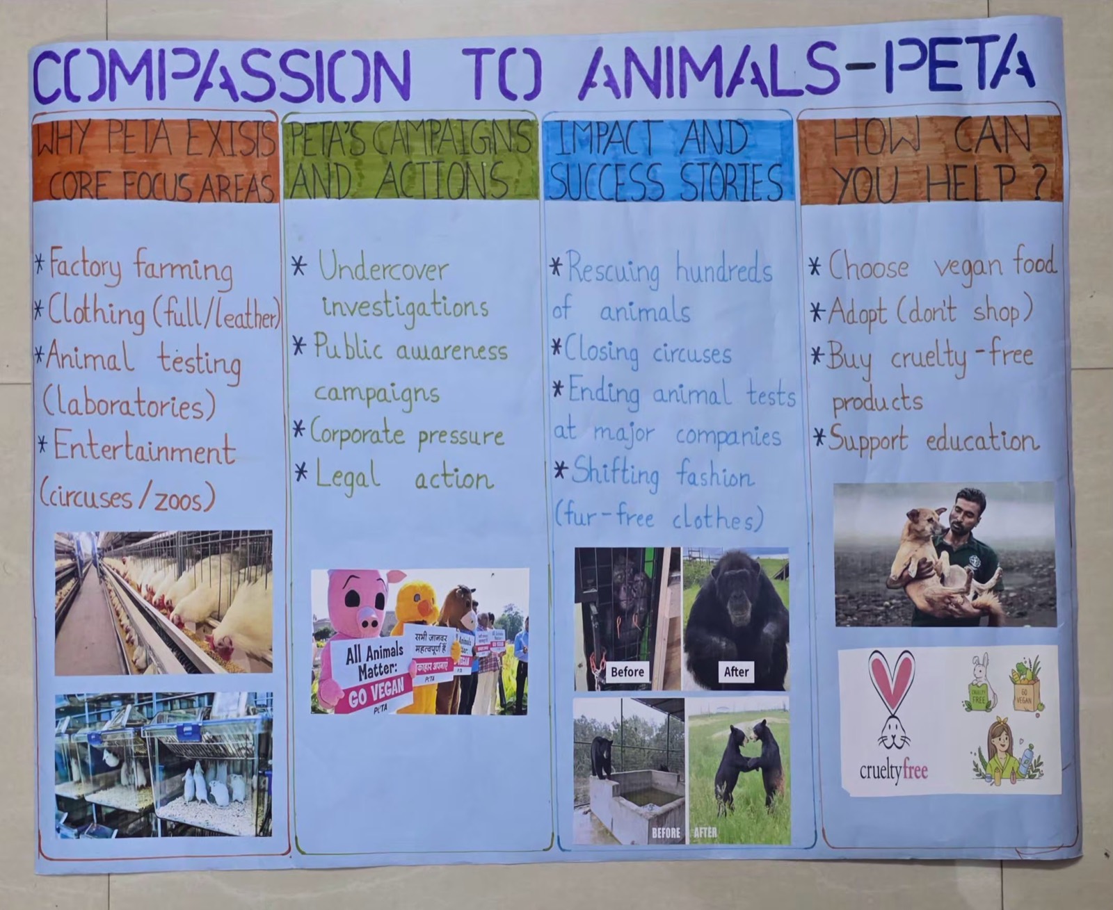 Animal compassion awareness chart