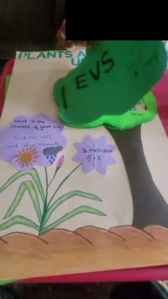 Plants (EVS) pop-up chart